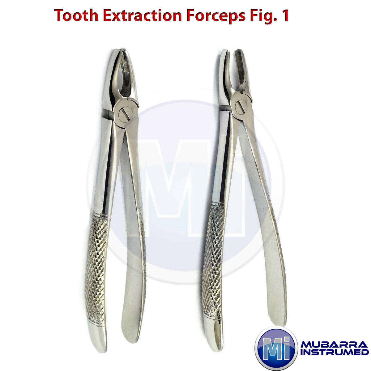 Dental Zange Tooth Extraction Surgical Extracting Forceps Pinza Forcipe Pince