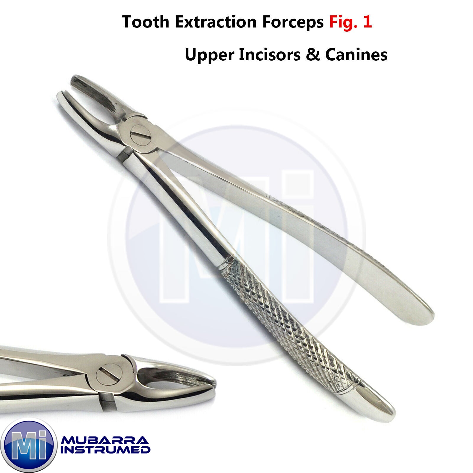 Dental Zange Tooth Extraction Surgical Extracting Forceps Pinza Forcipe Pince